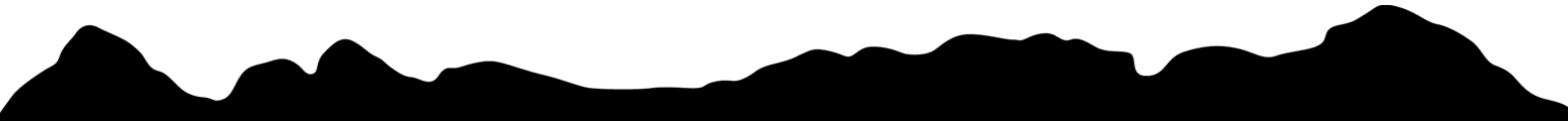 footer-divider